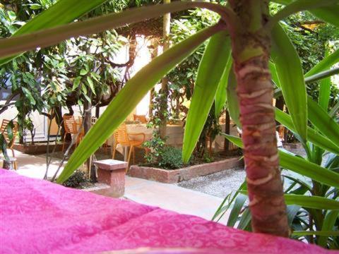 Albergo Lavagnese لافانيا المظهر الخارجي الصورة